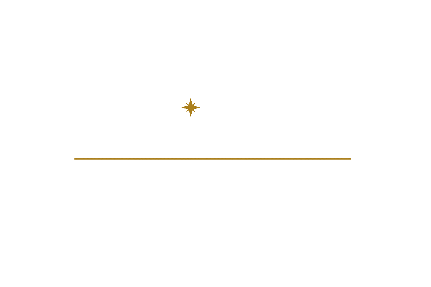 Sari Law Firm